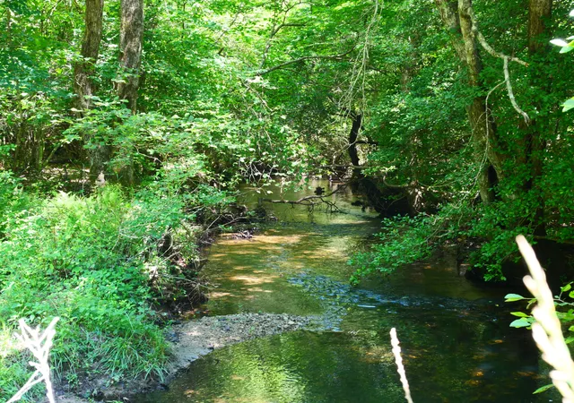 1st image of 0 Gap Rd E Of Rd, Whitwell, TN 37397 | MLS# 1536489