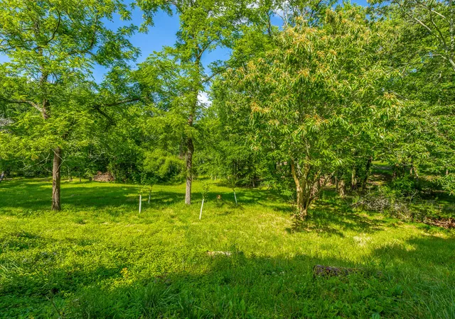 Homes for sale in Signal Mountain, TN | 1003 Smith Spring St, Signal Mountain, TN 37377 | MLS# 1536624