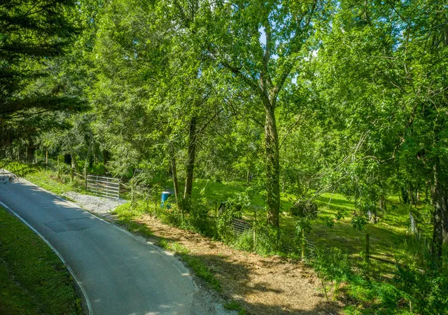 Homes for sale in Signal Mountain, TN | 1003 Smith Spring St, Signal Mountain, TN 37377 | MLS# 1536624