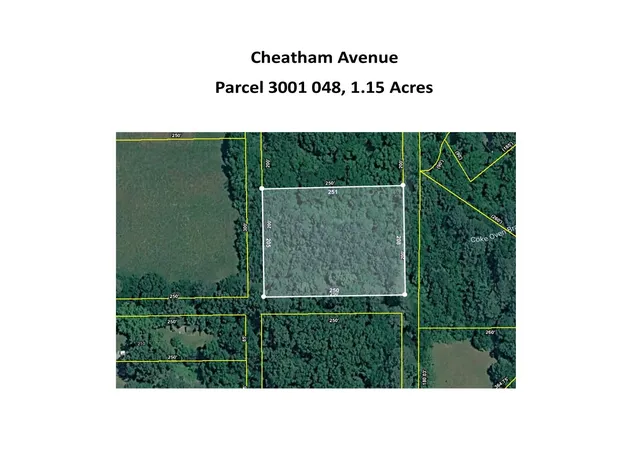 Homes for sale in Chickamauga, GA | 0 Cheatham Ave, Chickamauga, GA 30707 | MLS# 1536950