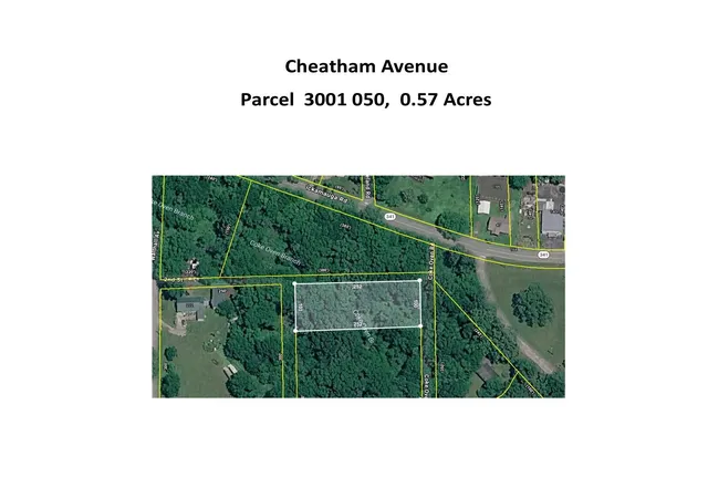 Homes for sale in Chickamauga, GA | 00 Cheatham Ave, Chickamauga, GA 30707 | MLS# 1536951
