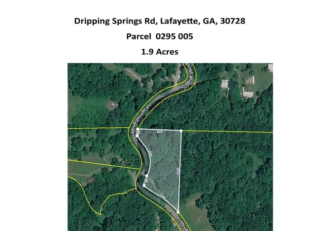 Homes for sale in La Fayette, GA | 0 Dripping Springs Rd, La Fayette, GA 30728 | MLS# 1536947