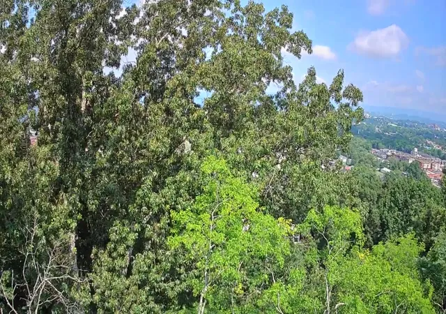 Photo 4 of Land for sale at 15 Th Ave #50-51, Chattanooga, TN 37404 | MLS# 1536551 | Listing updated on 2026-09-28