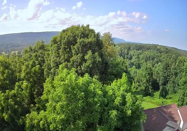 Homes for sale in Dayton, TN | 0 Ashley Ln #53, Dayton, TN 37321 | MLS# 1536555