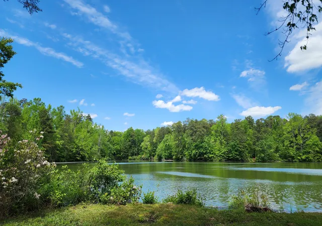 Homes for sale in Mentone, AL | 390 Moon Lake Rd, Mentone, AL 35984 | MLS# 1536641