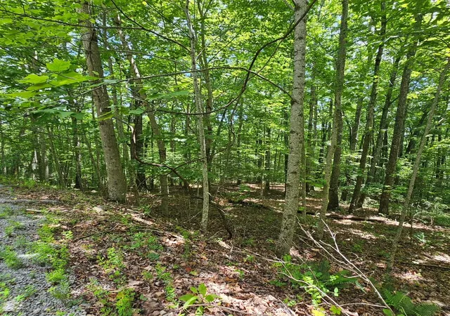 Homes for sale in Dunlap, TN | Lot 555 Oak Leaf Ln #555, Dunlap, TN 37327 | MLS# 1536665
