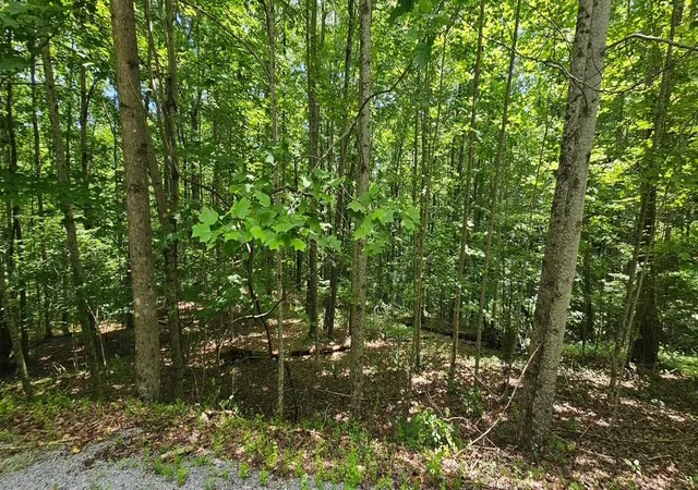 Homes for sale in Dunlap, TN | Lot 555 Oak Leaf Ln #555, Dunlap, TN 37327 | MLS# 1536665