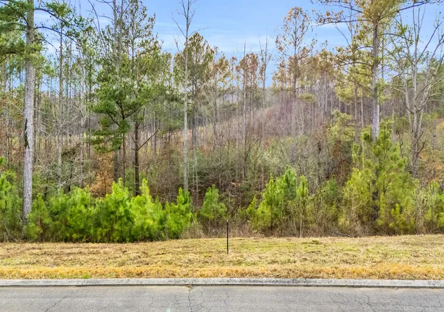Homes for sale in Ocoee, TN | 110 Quail Ln, Ocoee, TN 37361 | MLS# 1536784