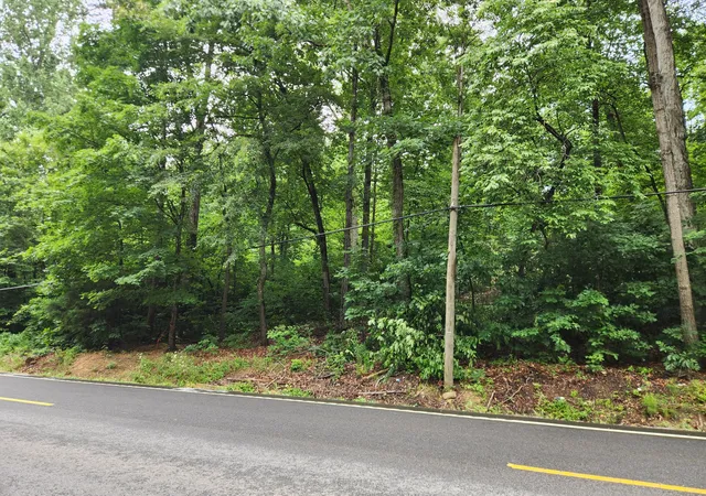 Homes for sale in Old Fort, TN | 2959 Hwy 411, Old Fort, TN 37362 | MLS# 1536802