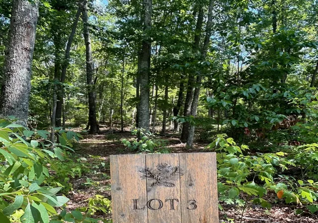 Homes for sale in Rising Fawn, GA | 0 Still Creek Rd #Lot 3, Rising Fawn, GA 30738 | MLS# 1536840