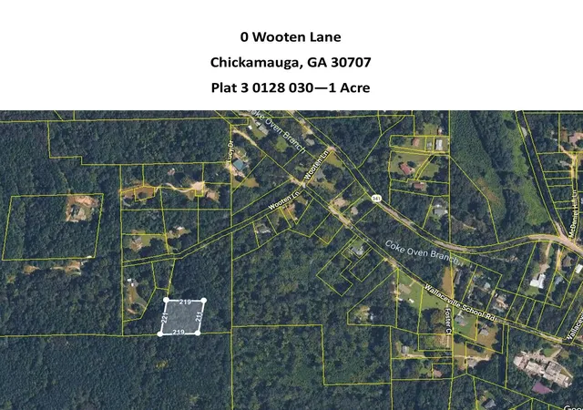Homes for sale in Chickamauga, GA | 0 Wooten Ln, Chickamauga, GA 30707 | MLS# 1536961