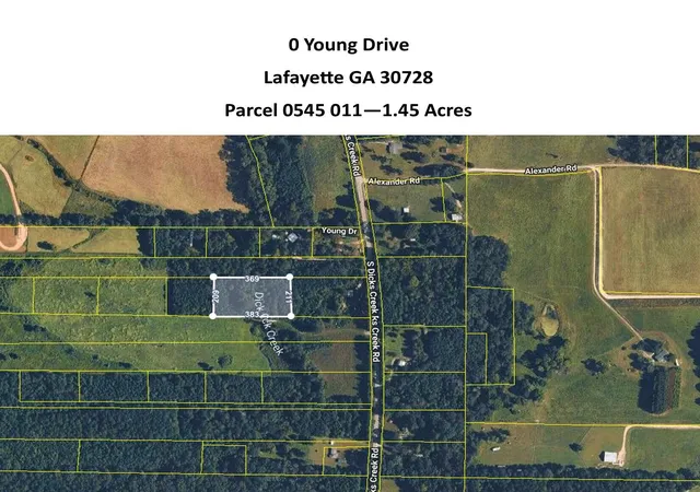 Homes for sale in La Fayette, GA | 0 Young Dr Rd, La Fayette, GA 30728 | MLS# 1536962
