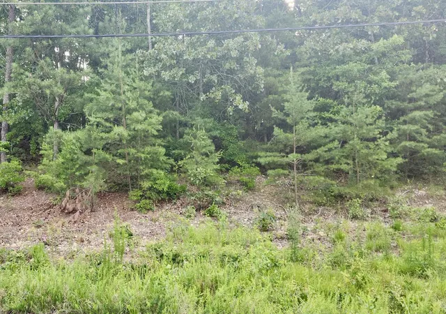 1st image of 6201 Hidden Hill Rd, Harrison, TN 37341 | MLS# 1536894