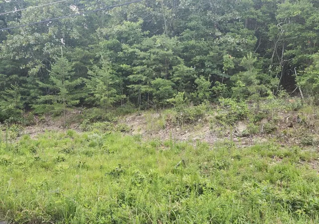 2nd image of 6201 Hidden Hill Rd, Harrison, TN 37341 | MLS# 1536894