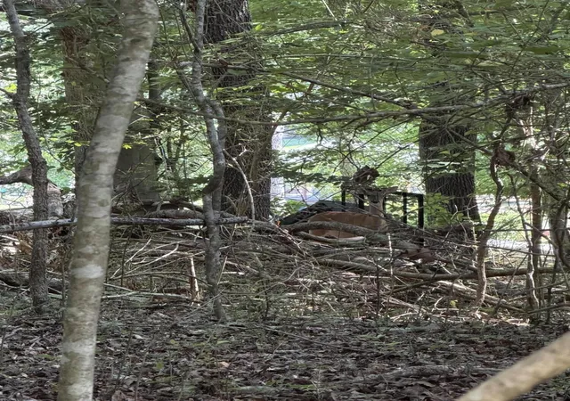 Photo 3 of Land for sale at 3912 Windjammer Dr, Soddy Daisy, TN 37379 | MLS# 1537867 | Listing updated on 2026-07-02