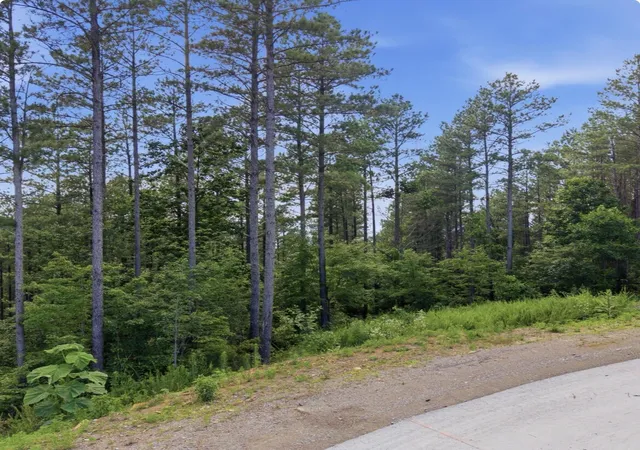Homes for sale in Guild, TN | 1141 Split Rail Wy, Guild, TN 37340 | MLS# 1537222