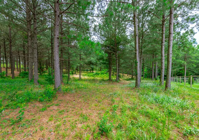 Homes for sale in Jasper, TN | 0 Bobcat Trl #213, Jasper, TN 37347 | MLS# 1537070