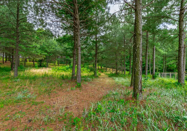 Photo 4 of Land for sale at 0 Bobcat Trl #213, Jasper, TN 37347 | MLS# 1537070 | Listing updated on 2026-06-18