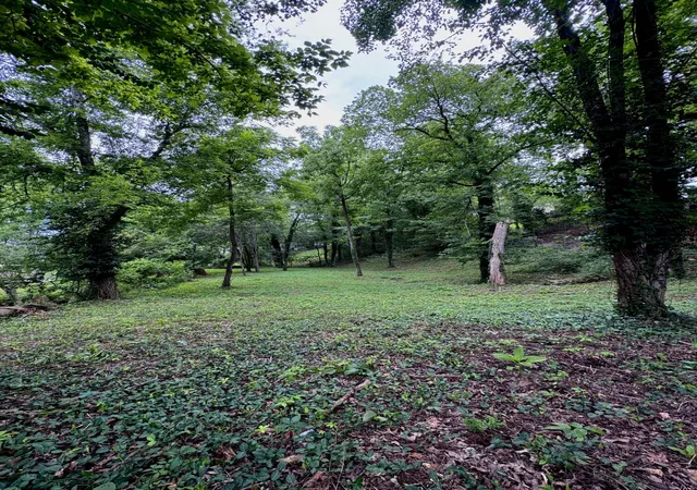 1st image of 6733 Moss Lake Dr, Hixson, TN 37343 | MLS# 1537183