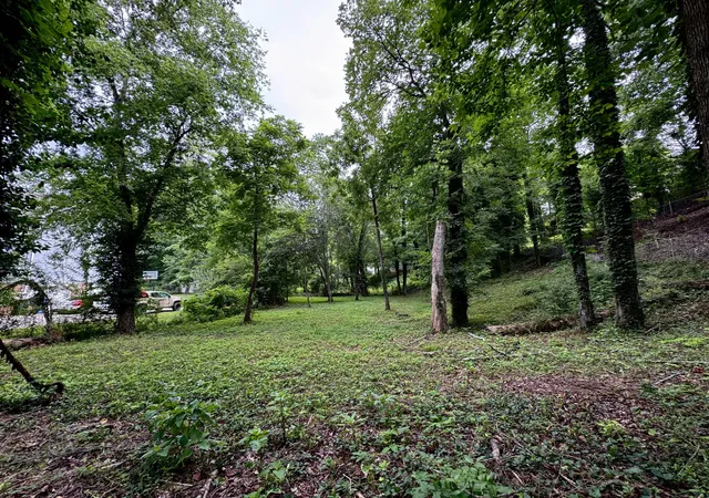 2nd image of 6733 Moss Lake Dr, Hixson, TN 37343 | MLS# 1537183