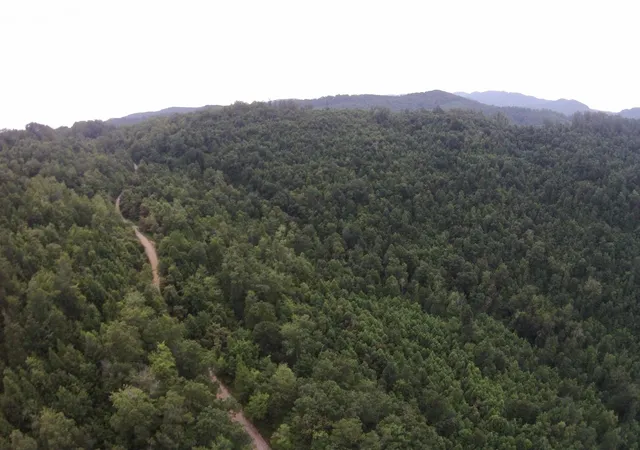 Photo 3 of Land for sale at Tract 2 Straight Frk Rd, Huntsville, TN 37756 | MLS# 1537167 | Listing updated on 2026-08-04