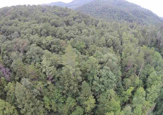 Photo 4 of Land for sale at Tract 2 Straight Frk Rd, Huntsville, TN 37756 | MLS# 1537167 | Listing updated on 2026-08-04