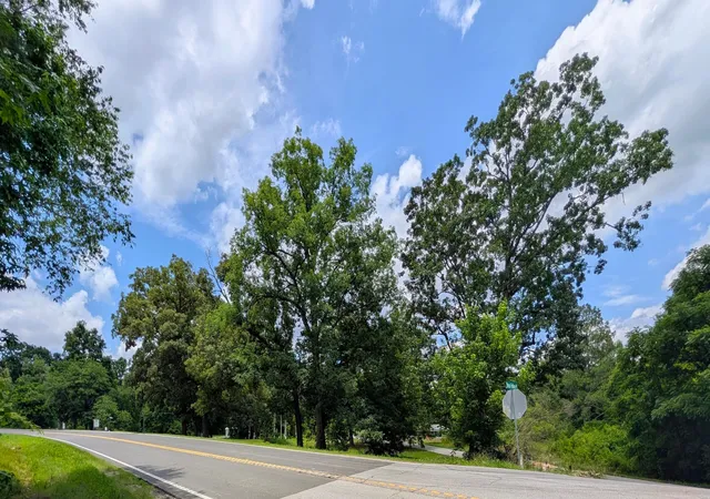 Photo 3 of Land for sale at 15 Mclemore Ln, Ringgold, GA 30736 | MLS# 1537160 | Listing updated on 2026-06-19