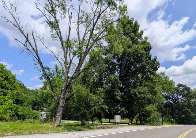 Photo 4 of Land for sale at 15 Mclemore Ln, Ringgold, GA 30736 | MLS# 1537160 | Listing updated on 2026-06-19