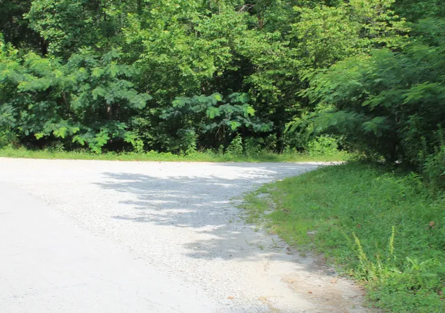 Homes for sale in Huntsville, TN | Tract 3 Straight Fork Rd #Tract 3, Huntsville, TN 37756 | MLS# 1537173