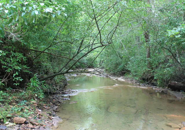 Photo 3 of Land for sale at Tract 3 Straight Frk Rd, Huntsville, TN 37756 | MLS# 1537173 | Listing updated on 2026-08-04