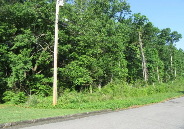 1st image of 00 Hickory Ridge Trl #222, Ringgold, GA 30736 | MLS# 1537204