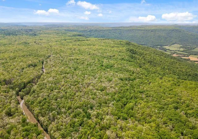 Homes for sale in Sewanee, TN | 0 Deepwoods Rd #6, Sewanee, TN 37375 | MLS# 1537246