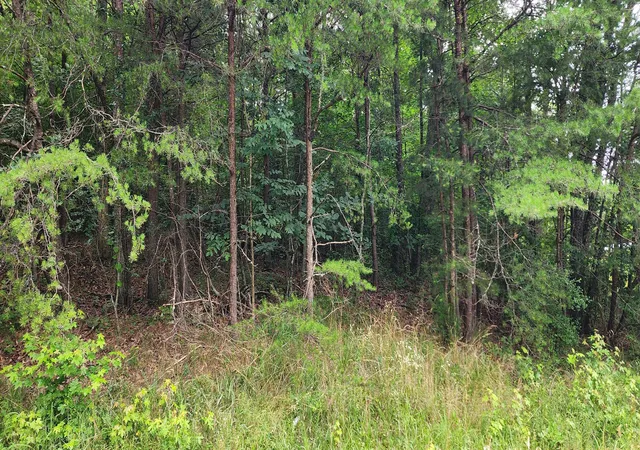9th image of 0 Sequatchie Mountain, Sequatchie, TN 37374 | MLS# 1537264