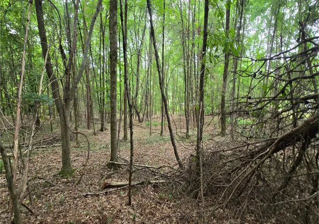 3rd image of 0 Ridge Rd, Cave Spring, GA 30124 | MLS# 1537287