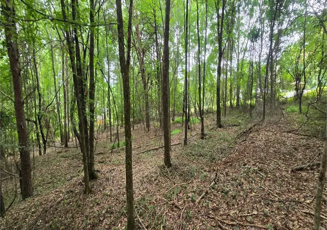 4th image of 0 Ridge Rd, Cave Spring, GA 30124 | MLS# 1537287