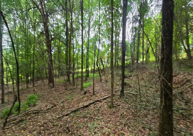 5th image of 0 Ridge Rd, Cave Spring, GA 30124 | MLS# 1537287