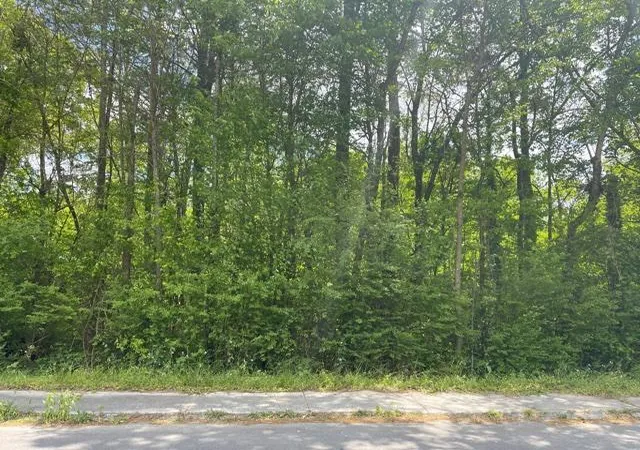 1st image of 0 Mclemore St, La Fayette, GA 30728 | MLS# 1537400