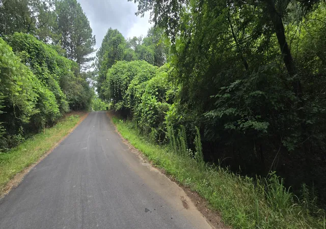 2nd image of 0 Valley Rd Sw #41, Cave Spring, GA 30124 | MLS# 1537303