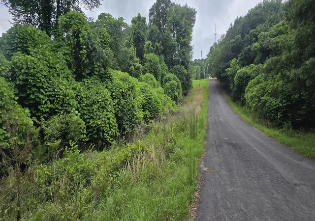 3rd image of 0 Valley Rd Sw #41, Cave Spring, GA 30124 | MLS# 1537303
