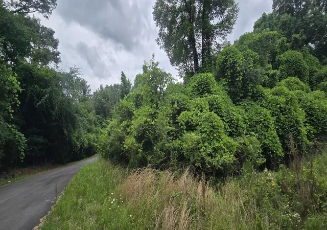 4th image of 0 Valley Rd Sw #41, Cave Spring, GA 30124 | MLS# 1537303
