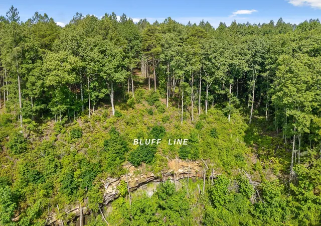 Homes for sale in Guild, TN | Lot 2142 Top Shelf St, Guild, TN 37340 | MLS# 1537341