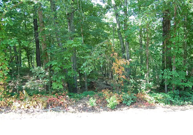 Homes for sale in Dunlap, TN | 65 Dogwood Ln, Dunlap, TN 37327 | MLS# 1537499