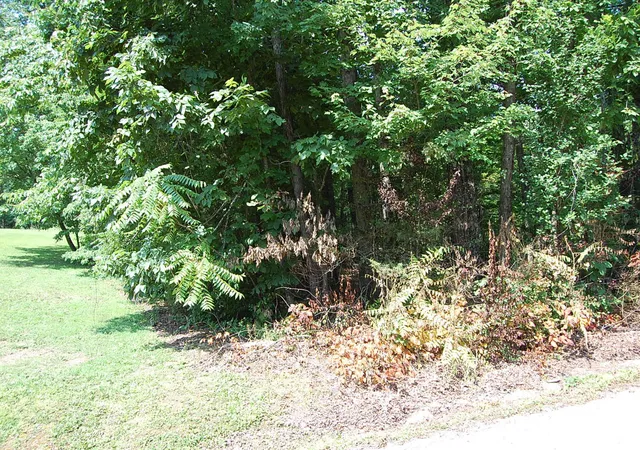 Homes for sale in Dunlap, TN | 65 Dogwood Ln, Dunlap, TN 37327 | MLS# 1537499