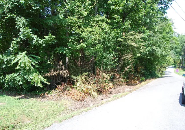Homes for sale in Dunlap, TN | 65 Dogwood Ln, Dunlap, TN 37327 | MLS# 1537499