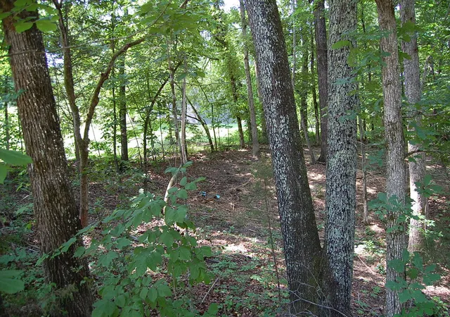 Homes for sale in Dunlap, TN | 65 Dogwood Ln, Dunlap, TN 37327 | MLS# 1537499
