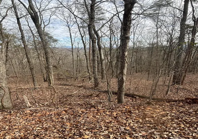2nd image of 0 Forest Dr #Lot B, Ringgold, GA 30736 | MLS# 1537383
