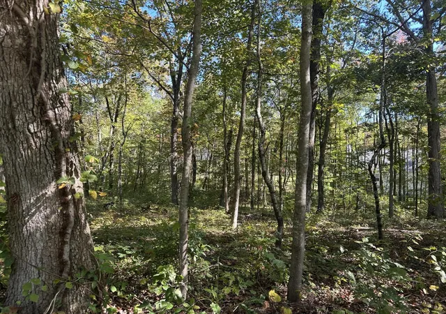 Homes for sale in Signal Mountain, TN | 4276 Taft Hwy, Signal Mountain, TN 37377 | MLS# 1537443