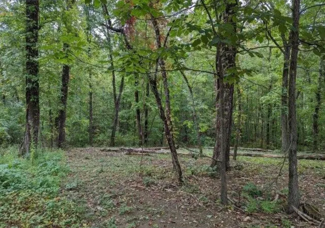 Homes for sale in Signal Mountain, TN | 4276 Taft Hwy, Signal Mountain, TN 37377 | MLS# 1537443