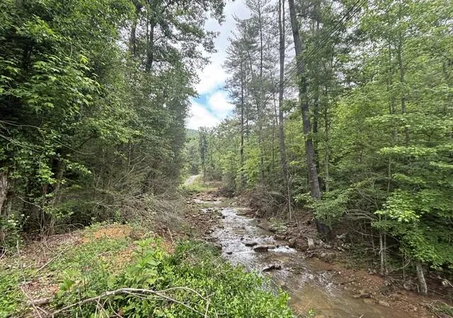 1st image of 80 Hell Hole Rd, Pikeville, TN 37367 | MLS# 1537449