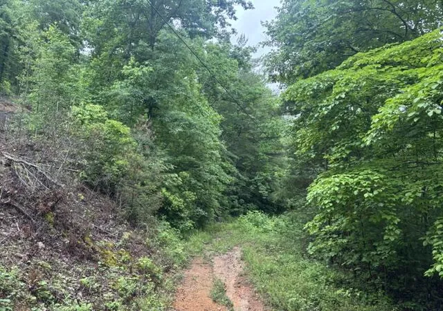 2nd image of 80 Hell Hole Rd, Pikeville, TN 37367 | MLS# 1537449